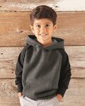 Toddler Special Blend Hooded Raglan Sweatshirt
