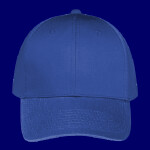 OTTO CAP 6 Panel Low Profile Baseball Cap
