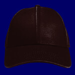 OTTO CAP 6 Panel Low Profile Baseball Cap