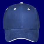 OTTO CAP 6 Panel Low Profile Baseball Cap