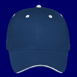 OTTO CAP 6 Panel Low Profile Baseball Cap