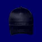 OTTO CAP 5 Panel Low Profile Baseball Cap