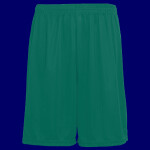 Youth Training Shorts