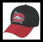 Carolina Mudcats