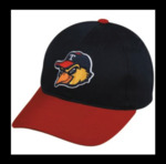 Toledo Mud Hens